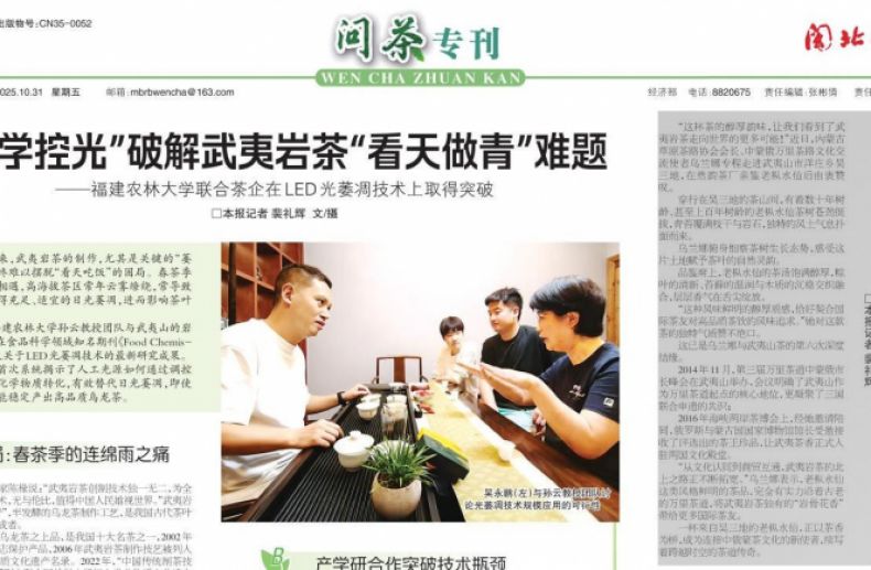 茶香续燃万里茶道新活力