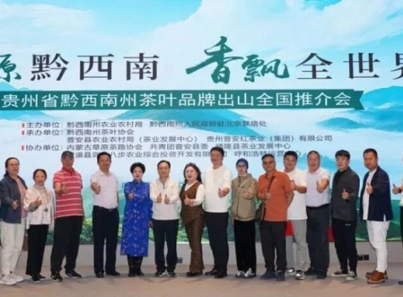 黔西南茶香漫北疆 | “普安红”在呼和浩特留下深刻印记